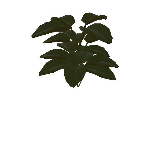 Leafy Plant Tall 1_1